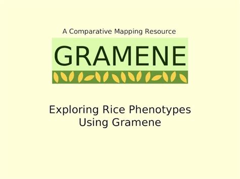 greenme|gramene rice.